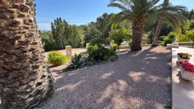 Chalet in Algorfa photo 23