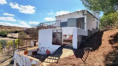Rustic property in El Campillo photo 38