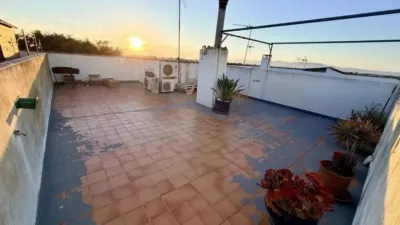 Chalet in Formentera del Segura photo 22