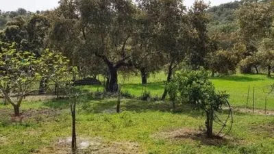 Rustic house in La Nava photo 20