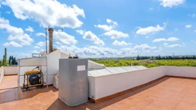 Chalet in Los Montesinos photo 31