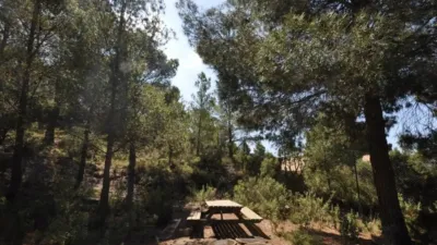 Chalet in Castalla photo 7