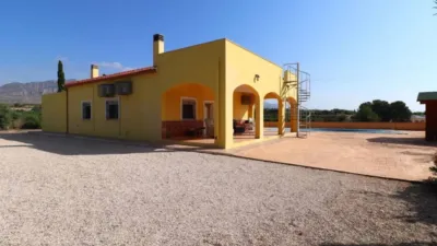 Rustic house in Albatera photo 31