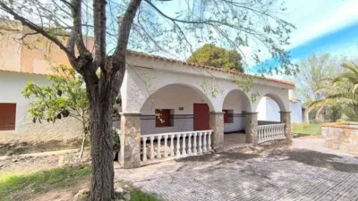 Rustic House in Yecla photo 5