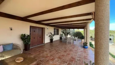 Chalet in Murcia Capital photo 4