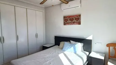 Chalet in Algorfa photo 26