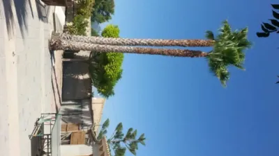 Chalet in La Romana photo 16
