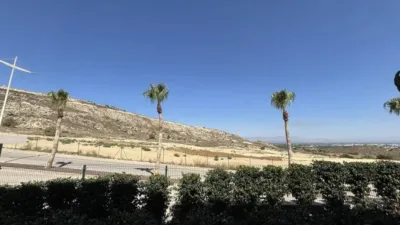 Apartment in Algorfa photo 39
