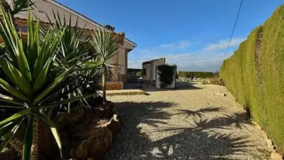 Chalet in Murcia Capital photo 22