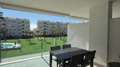 Pis - Vista 5
