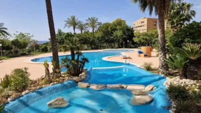 Apartment in Benidorm photo 6