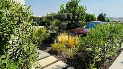 Chalet in Algorfa photo 23