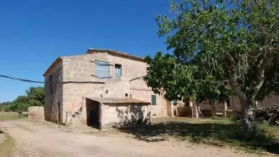 Rustic house in Algaida photo 11
