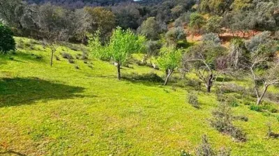 Rustic house in Cortegana photo 57