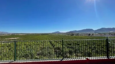 Chalet in Murcia Capital photo 9