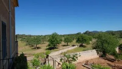 Rustic house in Algaida photo 19