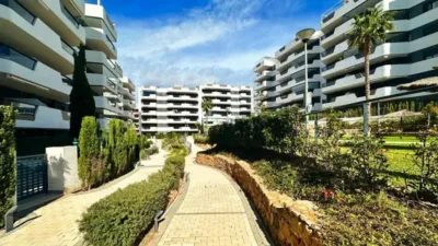 Apartment in Santa Pola photo 31