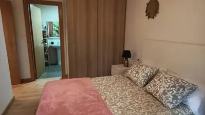 Apartment in Valle de Mena photo 11