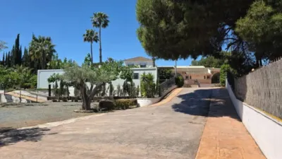 Rustic house in Sax photo 4