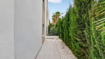 Chalet in Guardamar del Segura photo 46