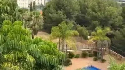 Chalet in Murcia City photo 2