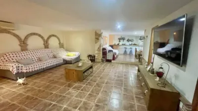 Chalet in Formentera del Segura photo 26