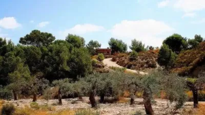 Chalet in Murcia Capital photo 7