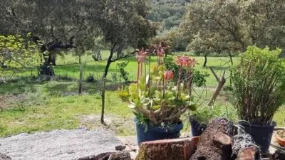Rustic house in La Nava photo 9