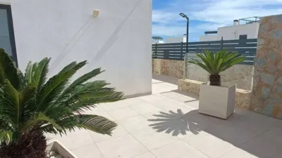 Chalet in Algorfa photo 43