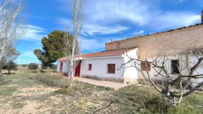 Rustic House in Yecla photo 3