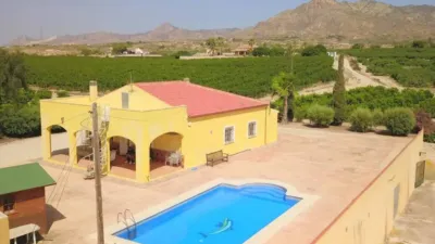 Rustic house in Albatera photo 40