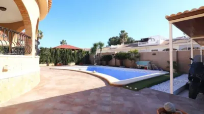 Chalet in Algorfa photo 2