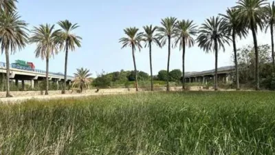Chalet in Ondara photo 45