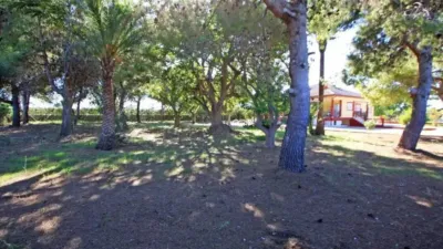 Chalet in El Verger photo 26