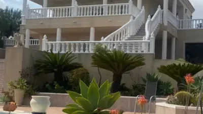 Chalet in Algorfa photo 2