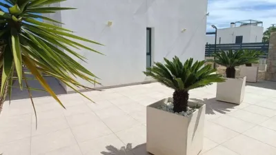Chalet in Algorfa photo 42