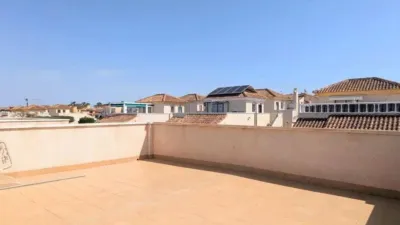 Chalet in Algorfa photo 25