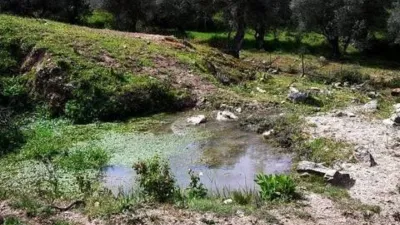 Rustic house in La Nava photo 55