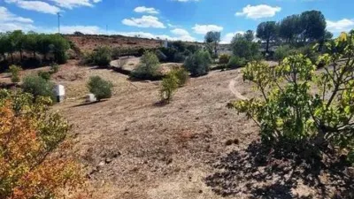 Rustic property in El Campillo photo 41