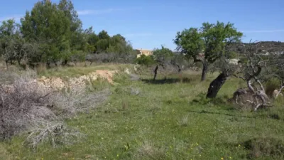 Chalet in Benissa photo 30