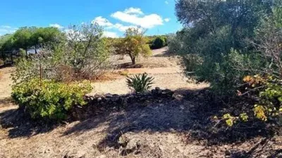 Rustic property in El Campillo photo 43