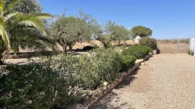 Rustic house in Fuente Álamo de Murcia photo 25