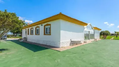 Chalet in Los Montesinos photo 10