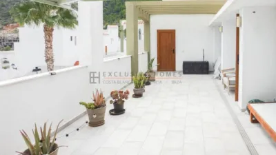 Apartment in Xeresa photo 9