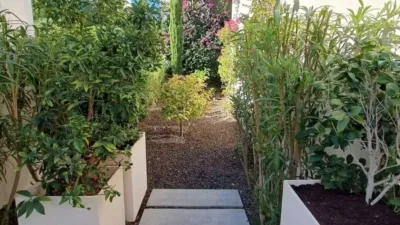 Chalet in Algorfa photo 42