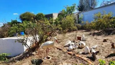 Rustic property in El Campillo photo 35