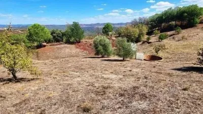 Rustic property in El Campillo photo 42