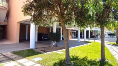 Apartment in Pedreguer photo 34