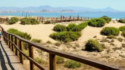 Apartment in Santa Pola photo 34