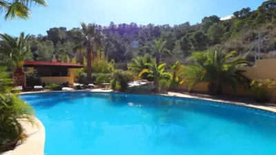 Rustic house in Aspe photo 2